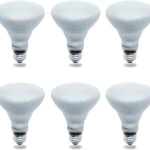 Technical Precision Replacement for SATCO 65BR30/FL 120V Light Bulb 6 Pack